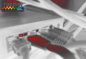 Roedan Embedded Systems - Ethernet Ring Protection